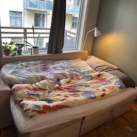 Apartamento Center Of Oslo, Quiet Area And Close To The Palace *